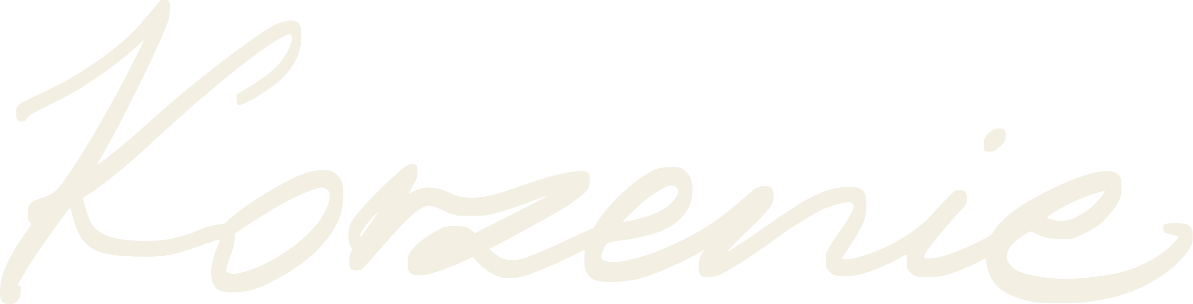 Korzenie